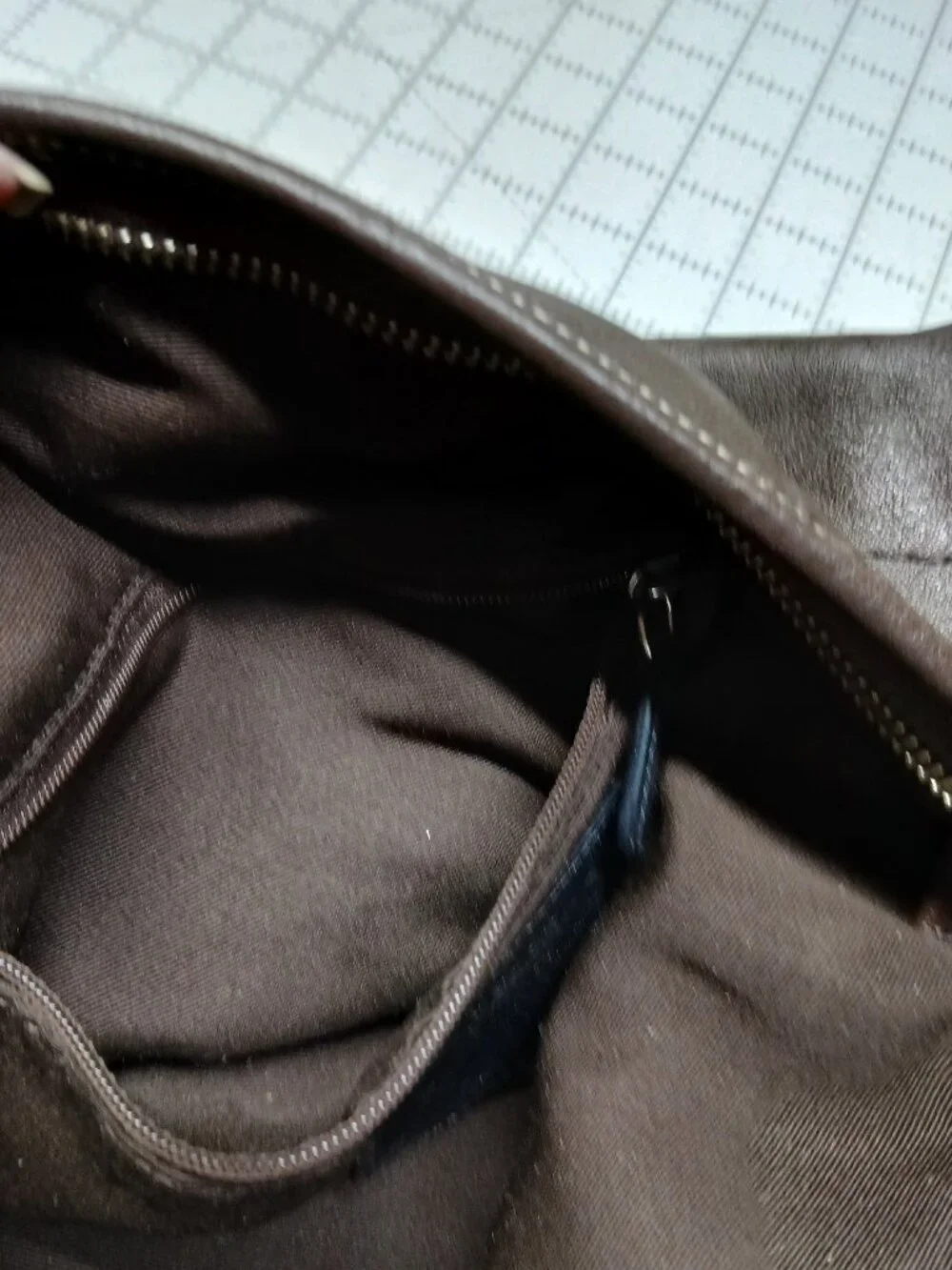 Coach hobo Handbag